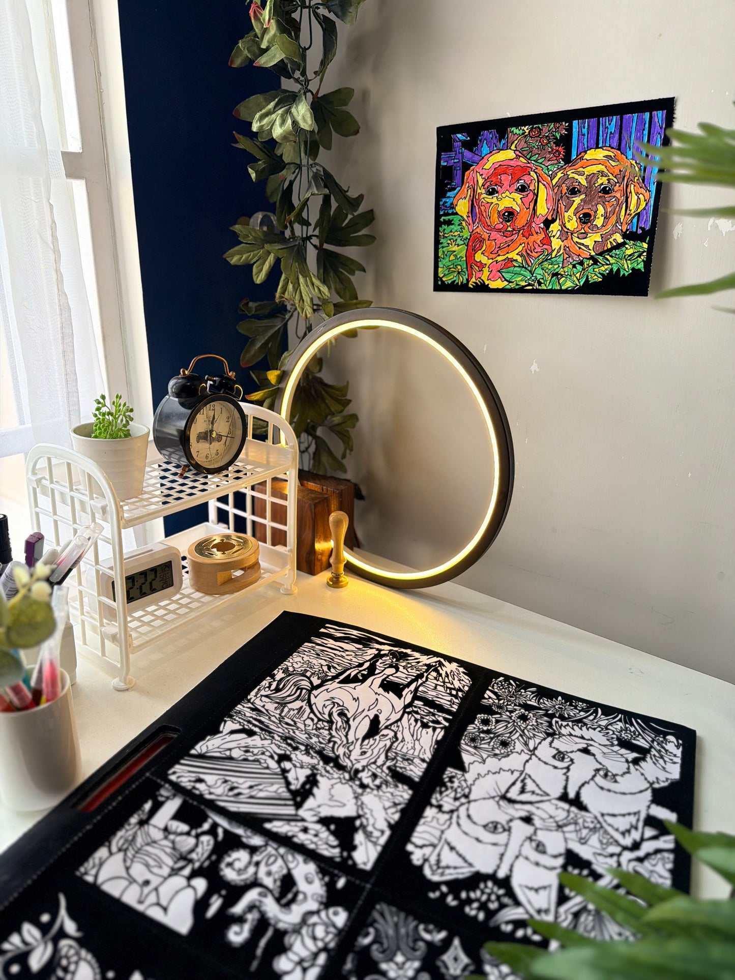 DIY Magic Fuzzy Velvet Coloring Posters With Colors