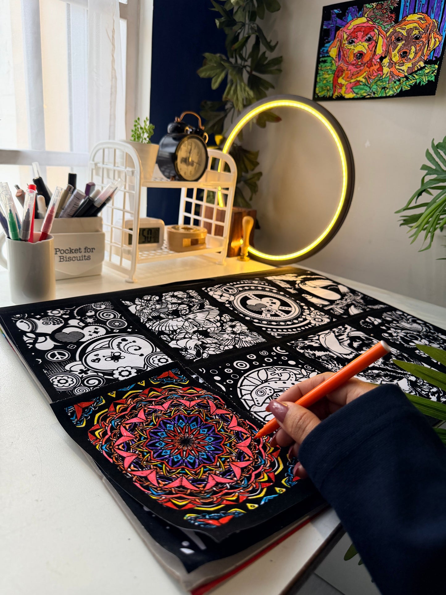 DIY Magic Fuzzy Velvet Coloring Posters With Colors